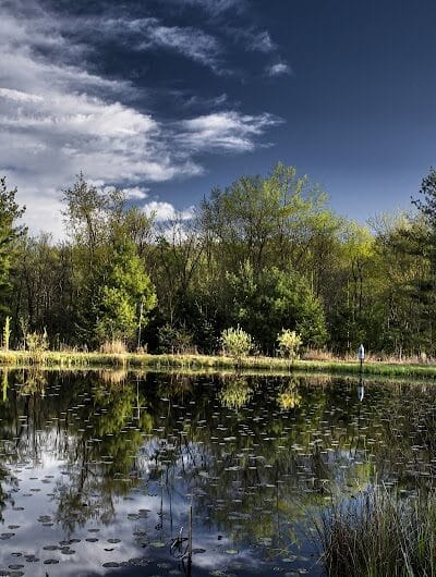 Gorman Nature Center - Mansfield, OH