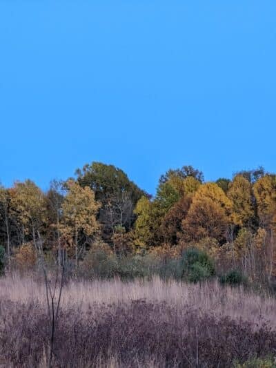 Gorman Nature Center - Mansfield, OH