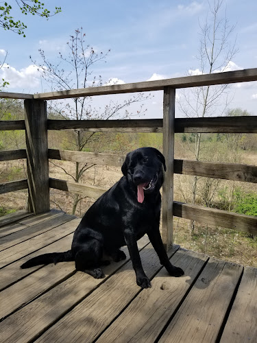 Gorman Nature Center