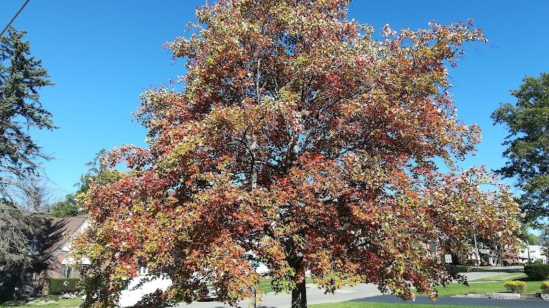 Maple Lake Park - Mansfield, OH