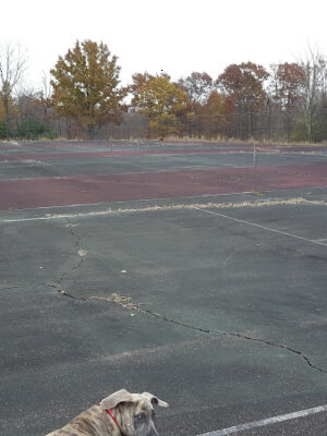 Sterkel Park