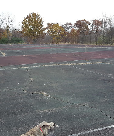 Sterkel Park