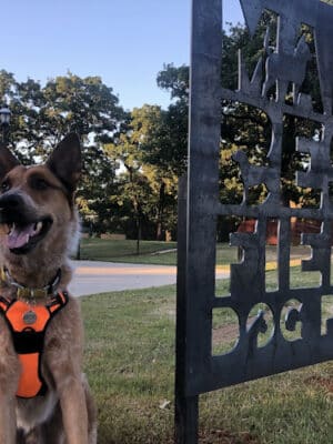 Mans Best Field Dog Park
