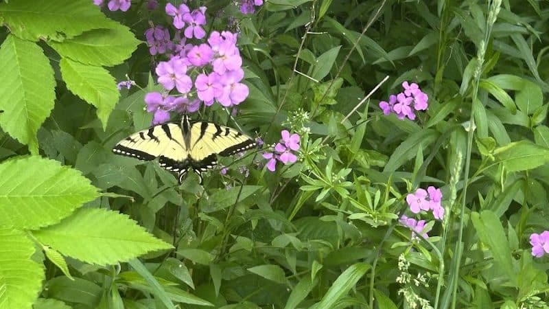 Headwaters Trail - Mantua, OH