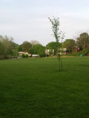 Kellogg Park-Maplewood membership only dog park