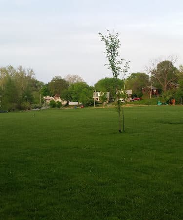 Kellogg Park-Maplewood membership only dog park