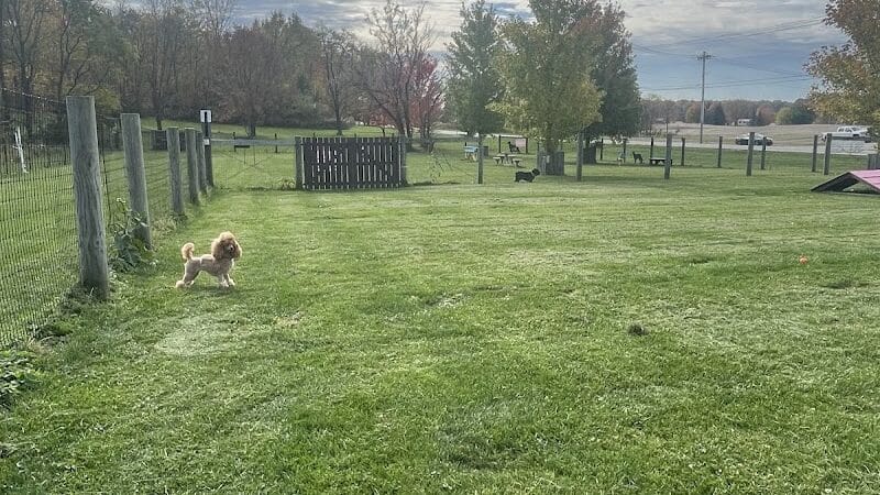 Premier Boarding Kennel - Marengo, OH