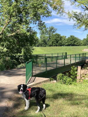 Devola Multi-Use Trail