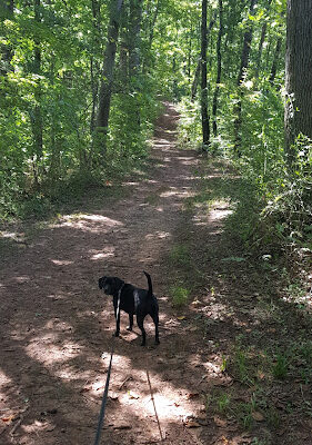 Broughton Nature and Wildlife Education Area
