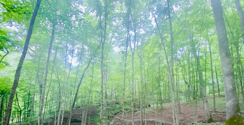 Broughton Nature and Wildlife Education Area - Marietta, OH