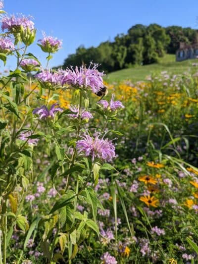 Devola Multi-Use Trail - Marietta, OH