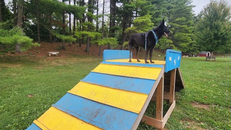 Jackson Hill Dog Park - Marietta, OH