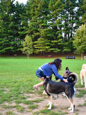 Jackson Hill Dog Park