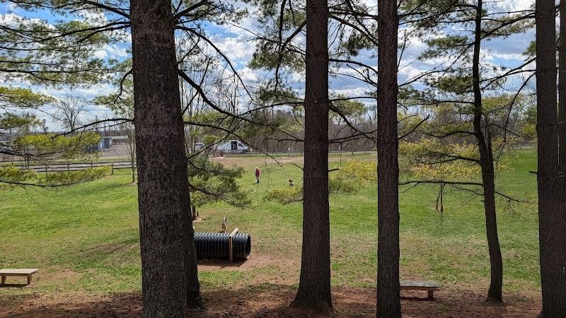 Jackson Hill Dog Park - Marietta, OH