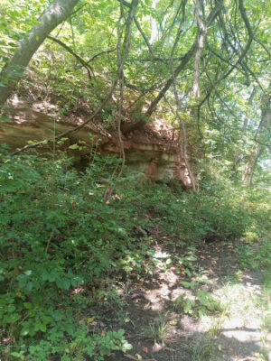 Old Walnut Street Trail