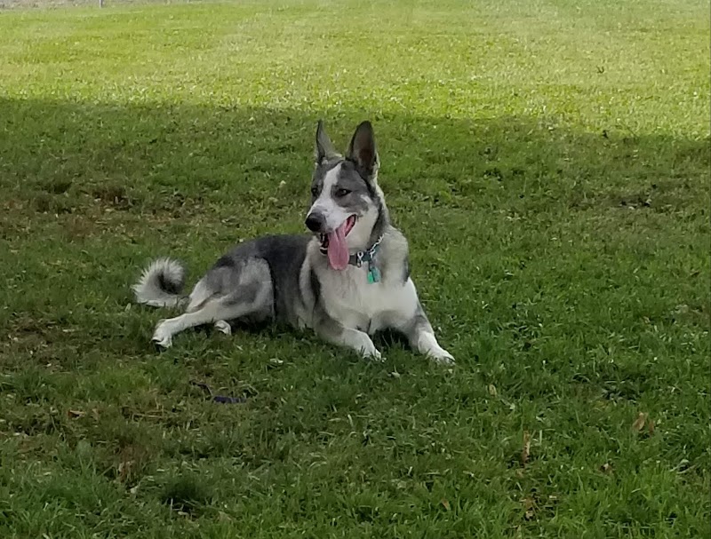 Kaufman Dog Park - Marion, OH