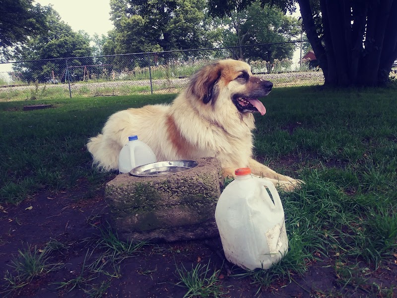 Kaufman Dog Park - Marion, OH