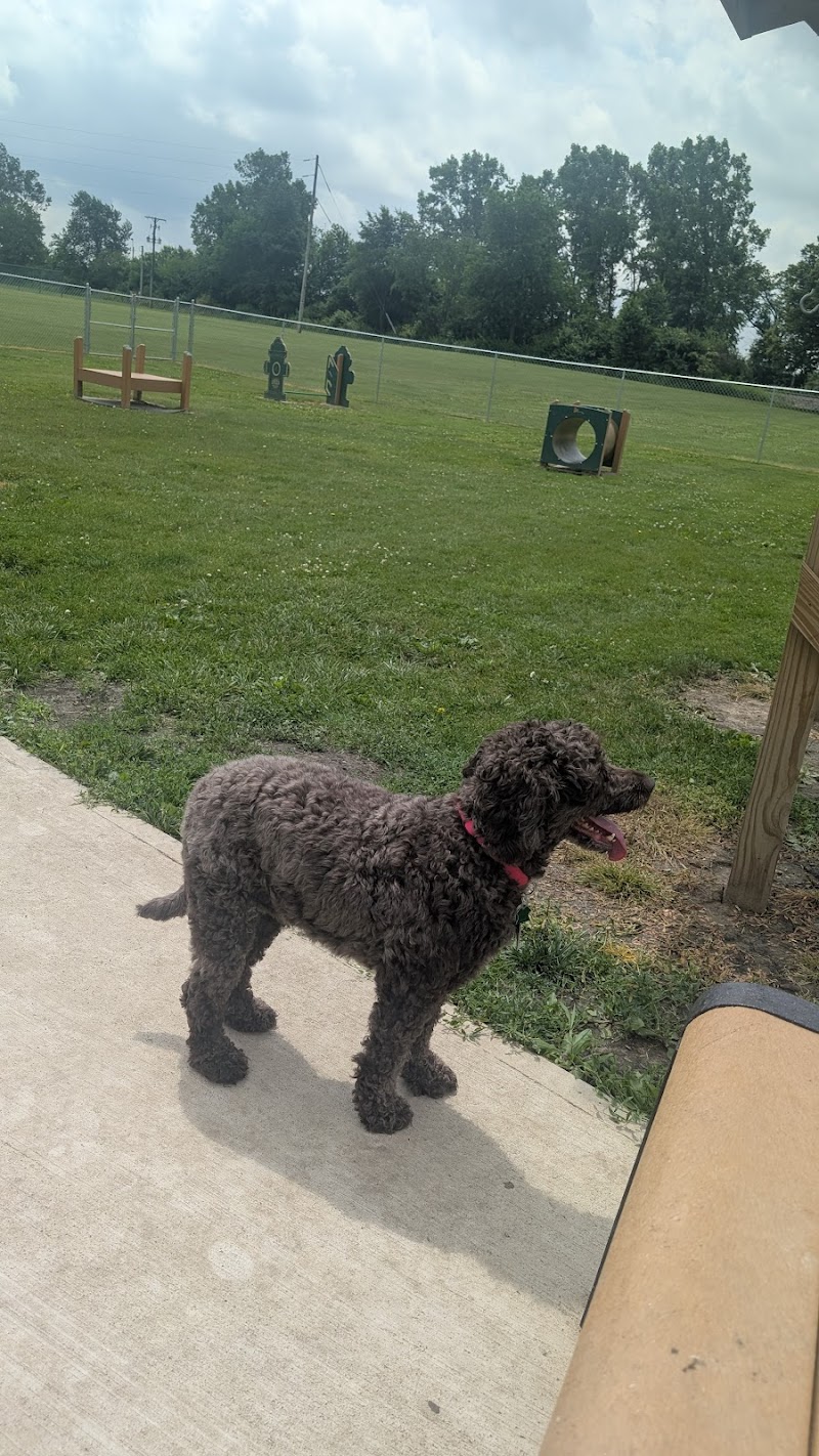Kaufman Dog Park - Marion, OH