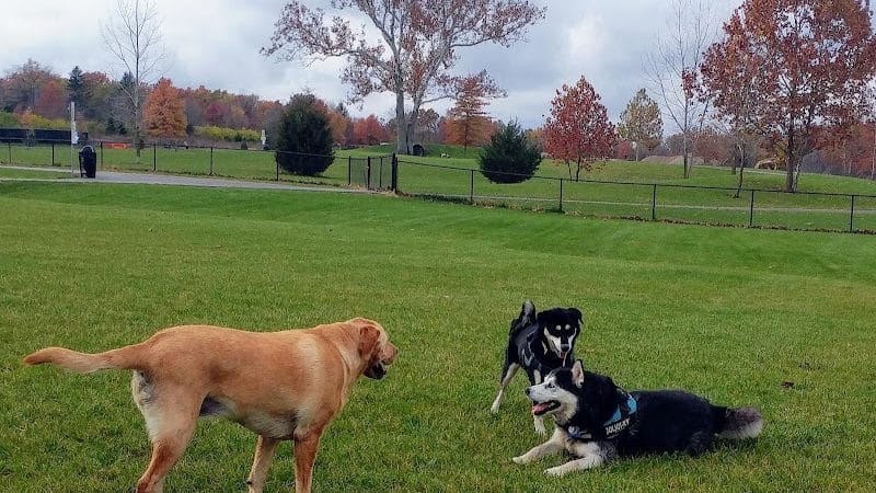 Bark Park - Marysville, OH