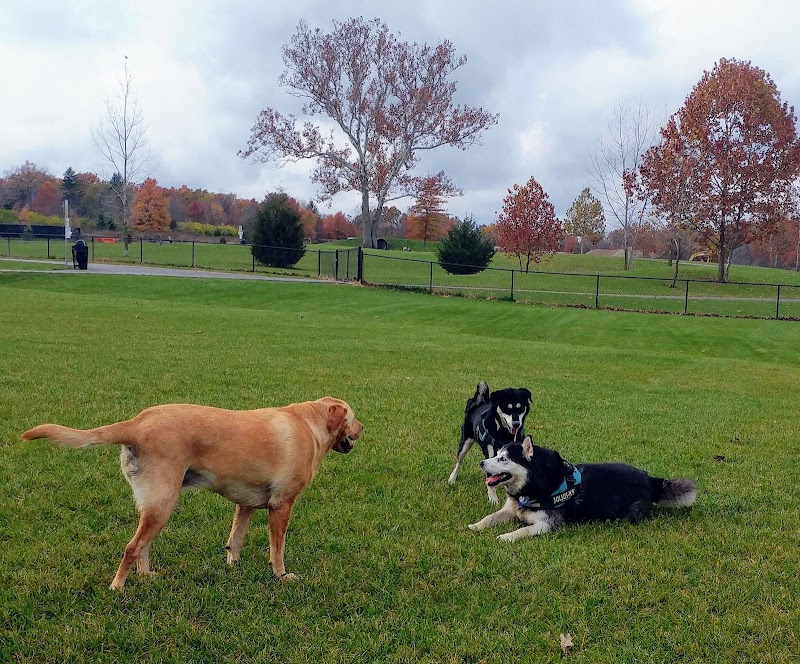Bark Park - Marysville, OH