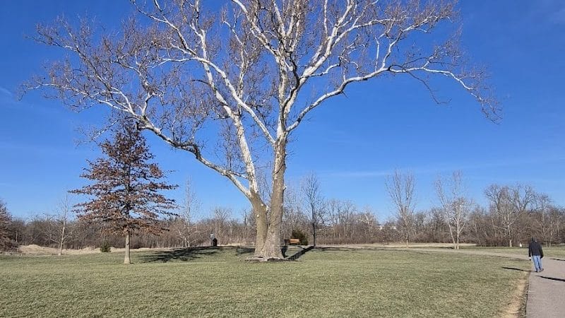 Bark Park - Marysville, OH