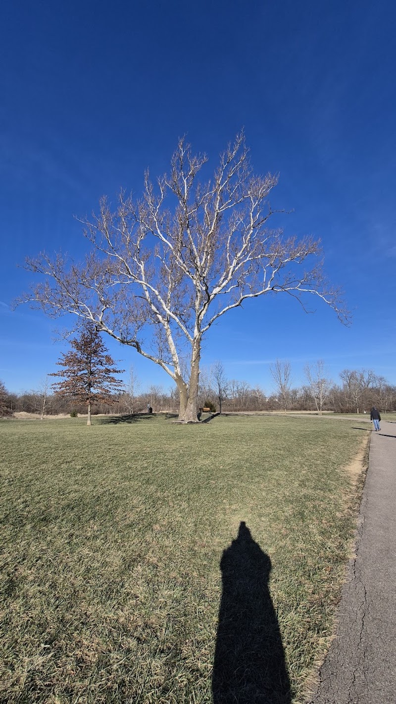 Bark Park - Marysville, OH
