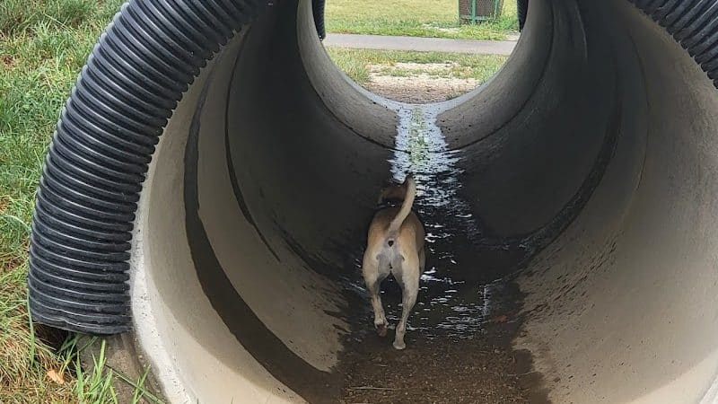 Bark Park - Marysville, OH