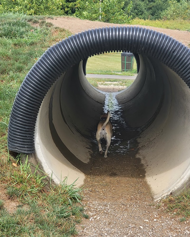 Bark Park - Marysville, OH