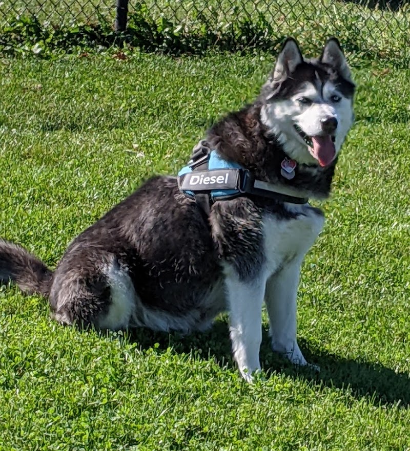 Bark Park - Marysville, OH