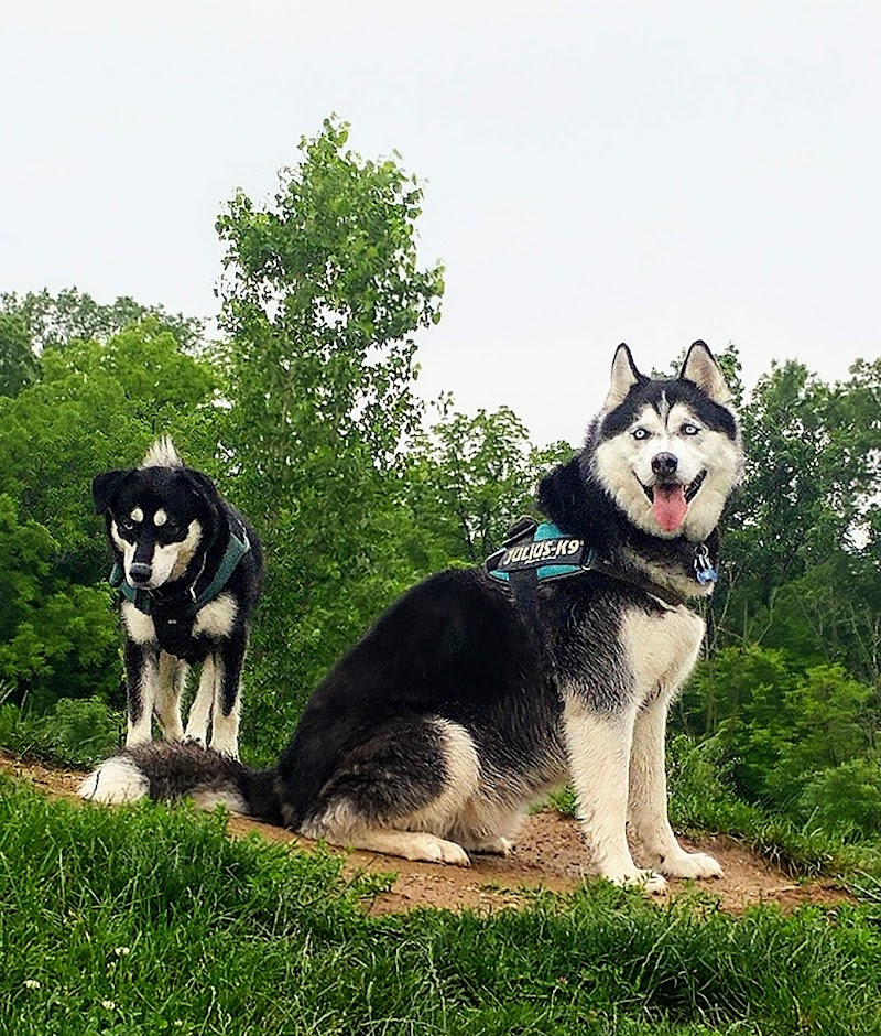 Bark Park - Marysville, OH