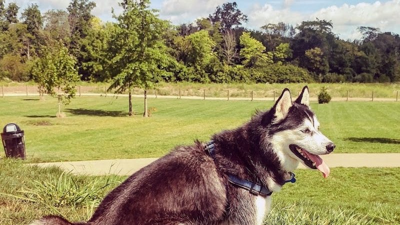 Bark Park - Marysville, OH