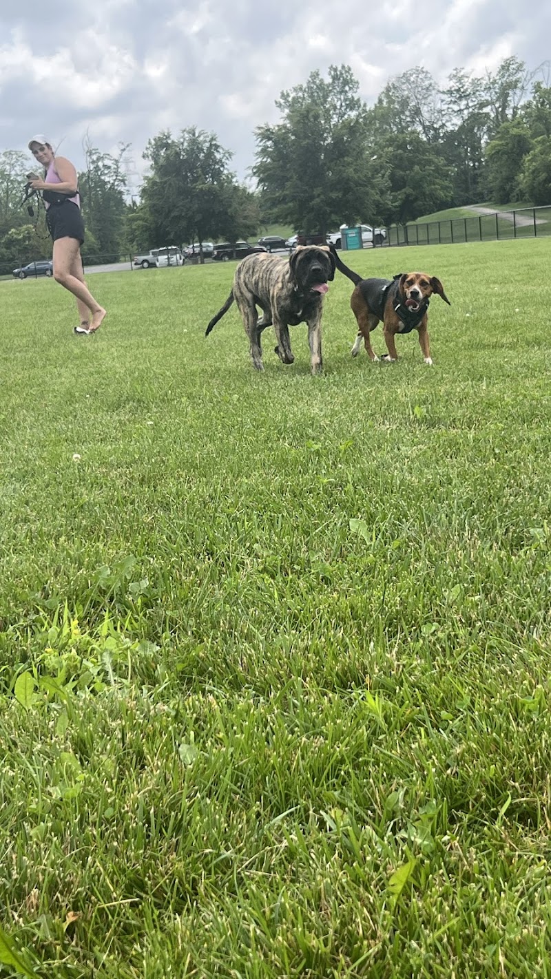 Pawmyra Dog Park - Mason, OH