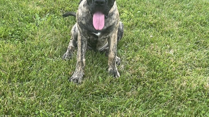 Pawmyra Dog Park - Mason, OH