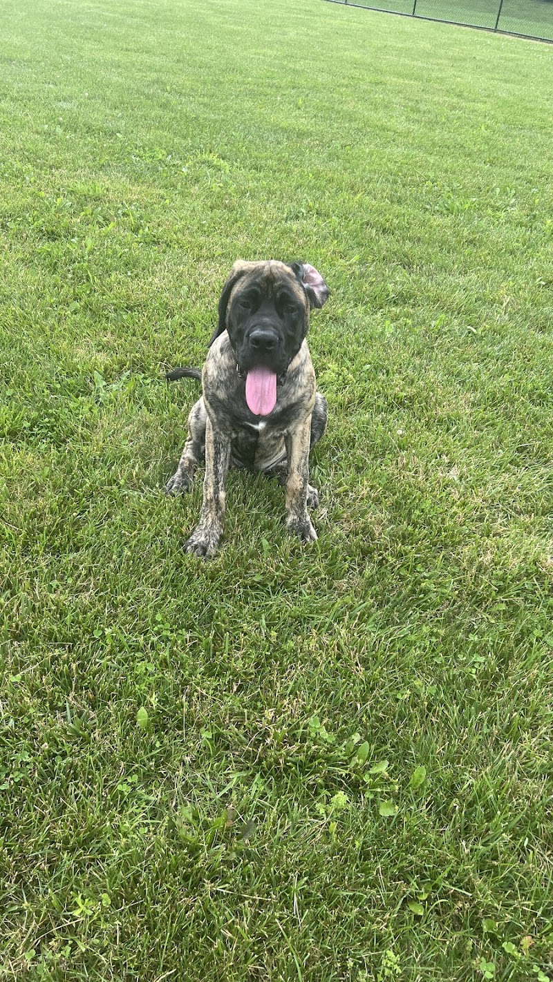 Pawmyra Dog Park - Mason, OH