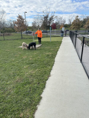 Pawmyra Dog Park