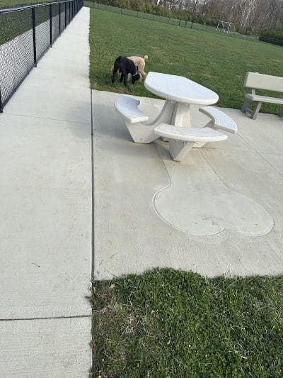 Pawmyra Dog Park - Mason, OH