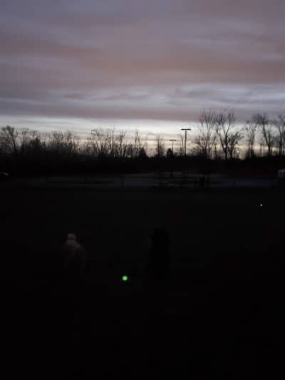 Pawmyra Dog Park - Mason, OH