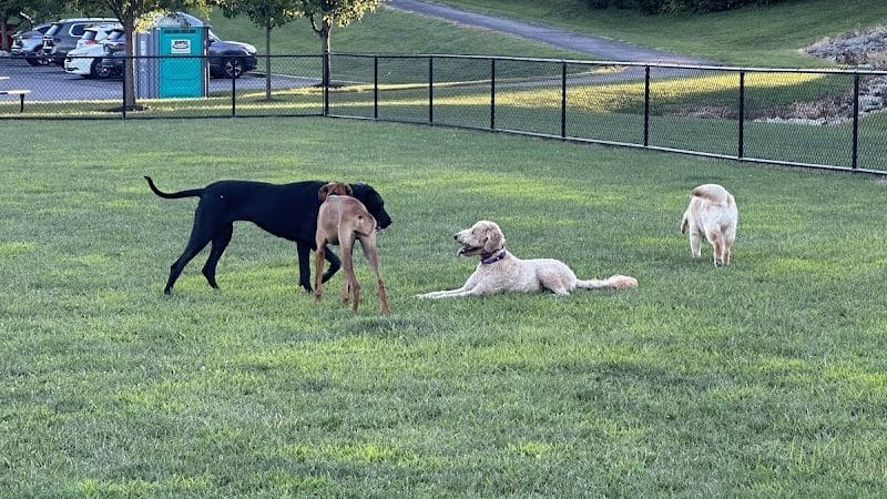 Pawmyra Dog Park - Mason, OH