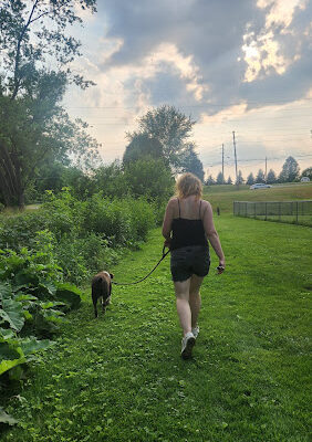 Dog park