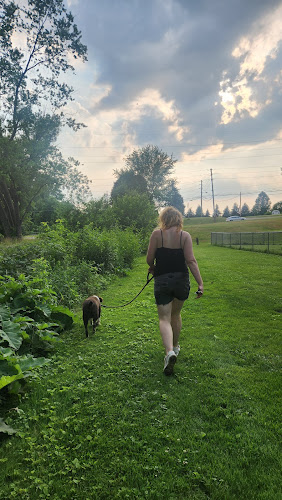 Dog park
