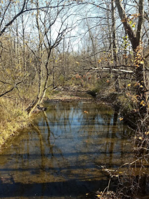 Lincoln Park