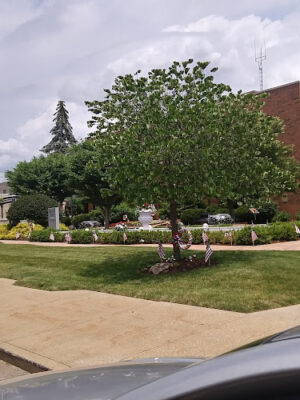 Veterans Memorial Park