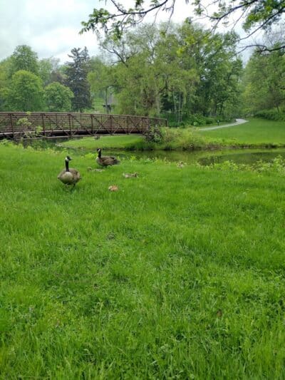 Side Cut Metropark - Maumee, OH