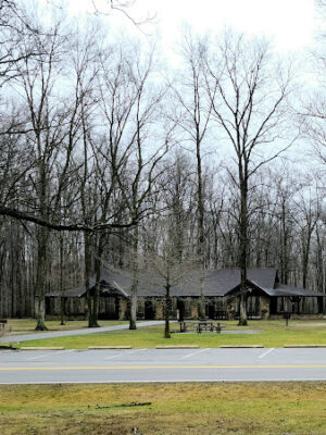 Forest Picnic Area