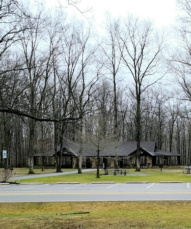 Forest Picnic Area