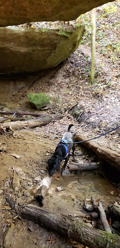 Zaleski State Forest Backpack Trailhead Parking: Selinde Roosenburg Memorial Backpack Trail