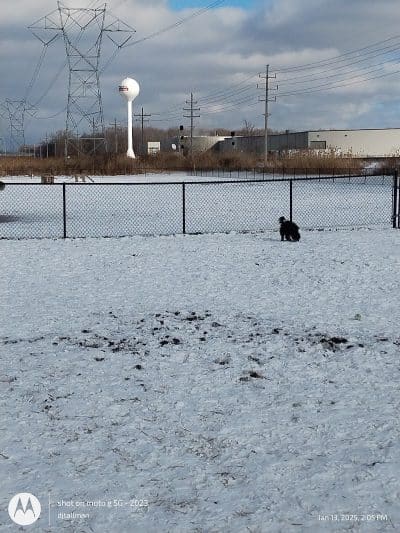 City of Mentor Dog Park - Mentor, OH