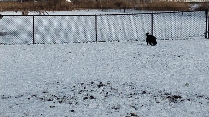 City of Mentor Dog Park - Mentor, OH