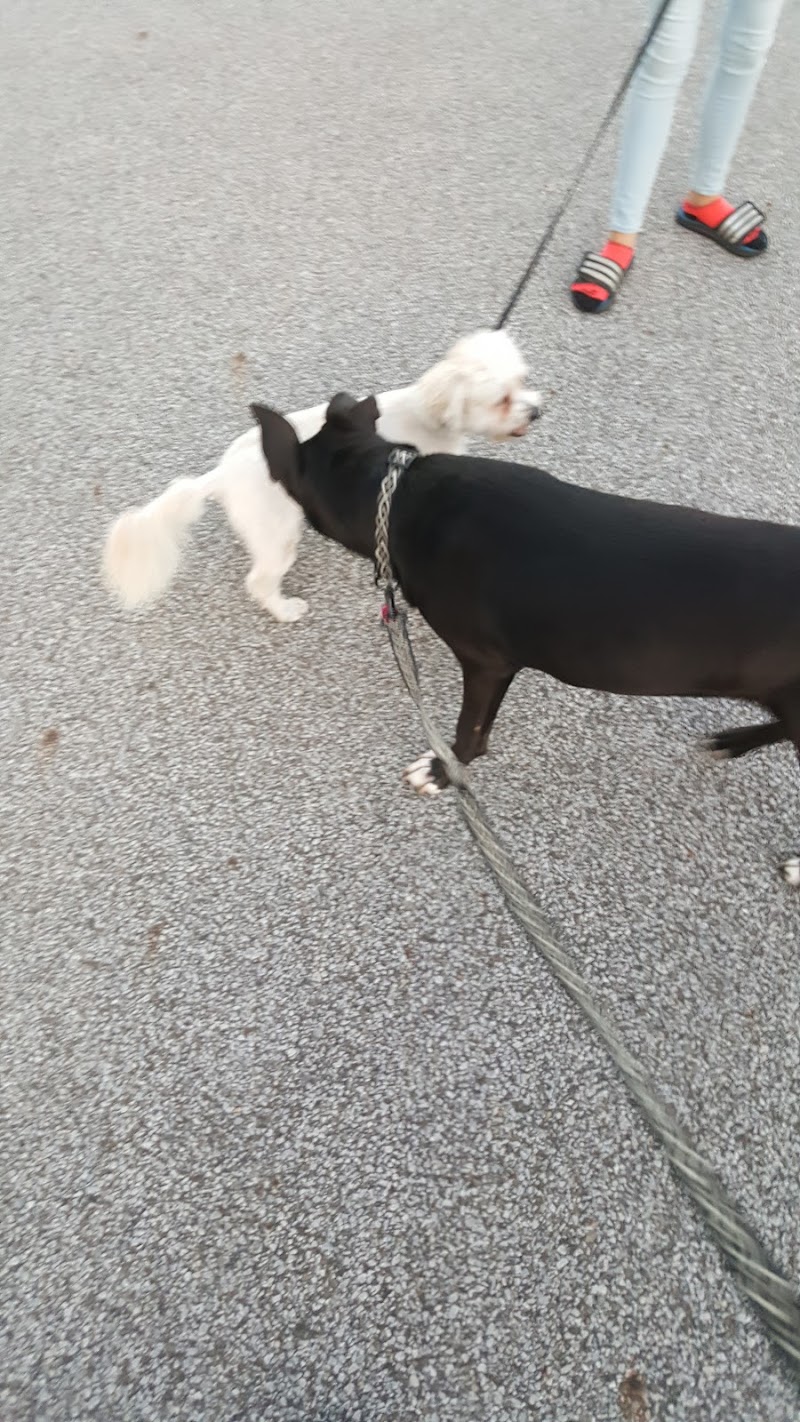 City of Mentor Dog Park - Mentor, OH