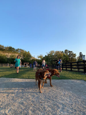 Canal Run Dog Park